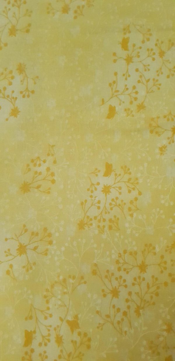 Flutter - Lemon - Image 2
