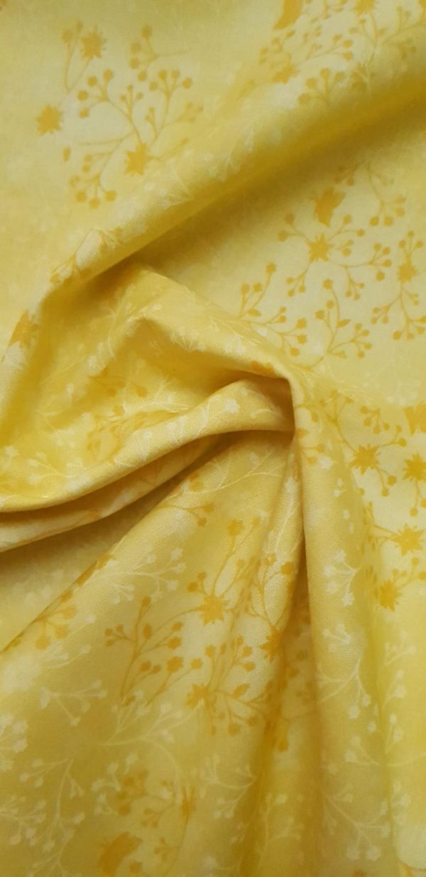Flutter - Lemon