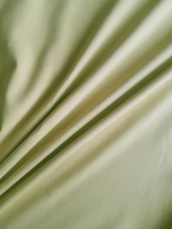 Organic Cotton Jersey - Dusty Yellow - Image 2