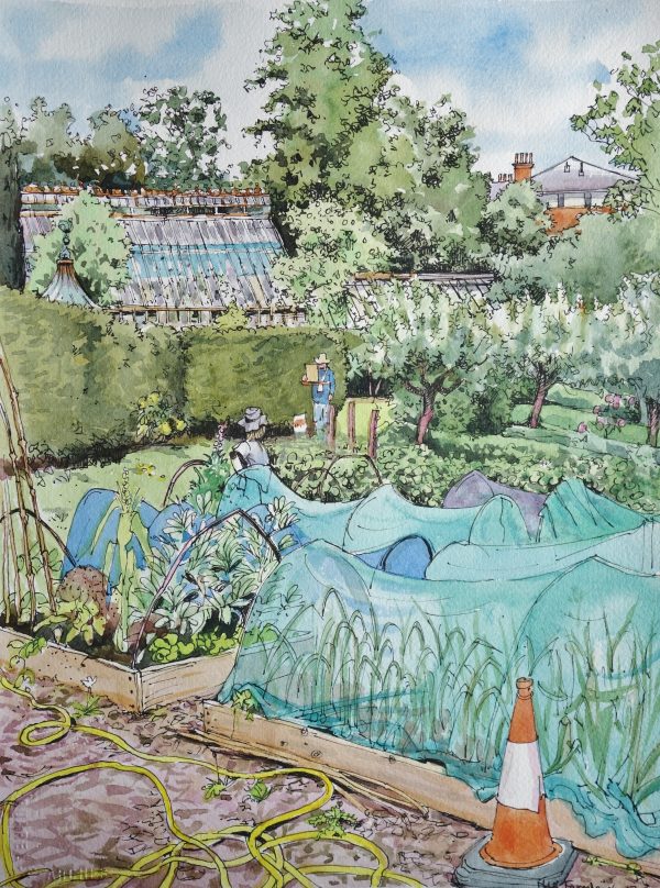 Watercolour Painting - Tuesdays 11am - 5 wks - Starts 7th Oct - Image 2