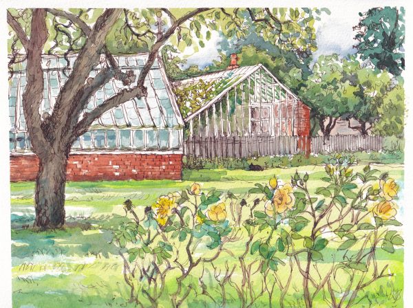 Watercolour Painting - Tuesdays 11am - 5 wks - Starts 7th Oct - Image 4