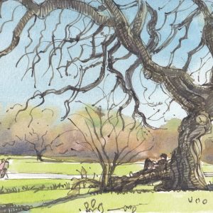 Watercolour Painting - Tuesdays 11am - 5 wks - Starts 7th Oct