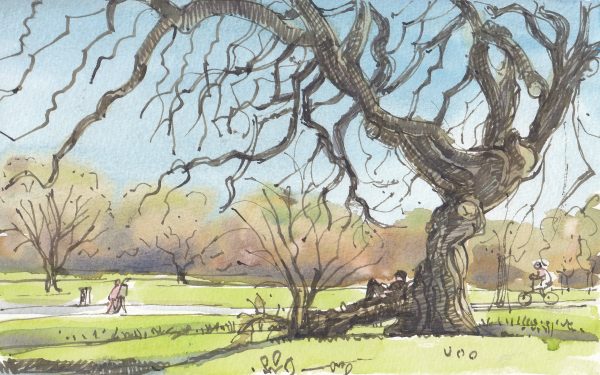 Watercolour Painting - Tuesdays 11am - 5 wks - Starts 7th Oct