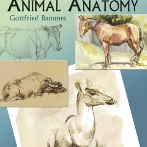 The Artist's Guide to Animal Anatomy